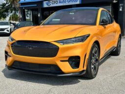 
										Ford Mustang MACH-E 2022 full									