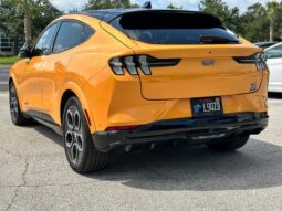 
										Ford Mustang MACH-E 2022 full									