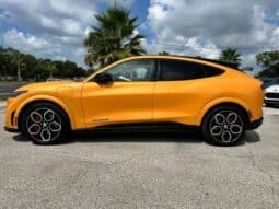 
										Ford Mustang MACH-E 2022 full									